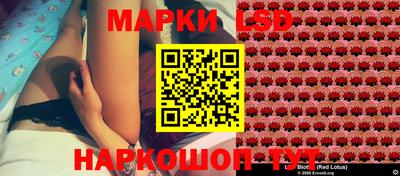 СК Пугачёв