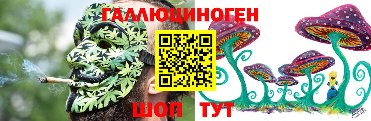 Псилоцибиновые грибы Cubensis  Вход с VPN  Электрогорск 